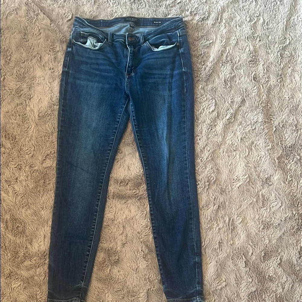 Judy Blue Skinny Jeans Blue Classic Fit
